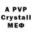 A-PVP VHQ Kamila Ruzickaja
