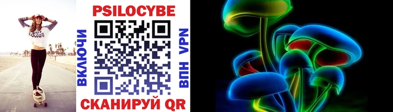 Купить  Могоча  Псилоцибиновые грибы Cubensis 