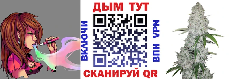 Купить где  Могоча  Канабис планчик 